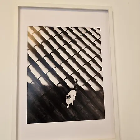 Apartment Marinaview Center *